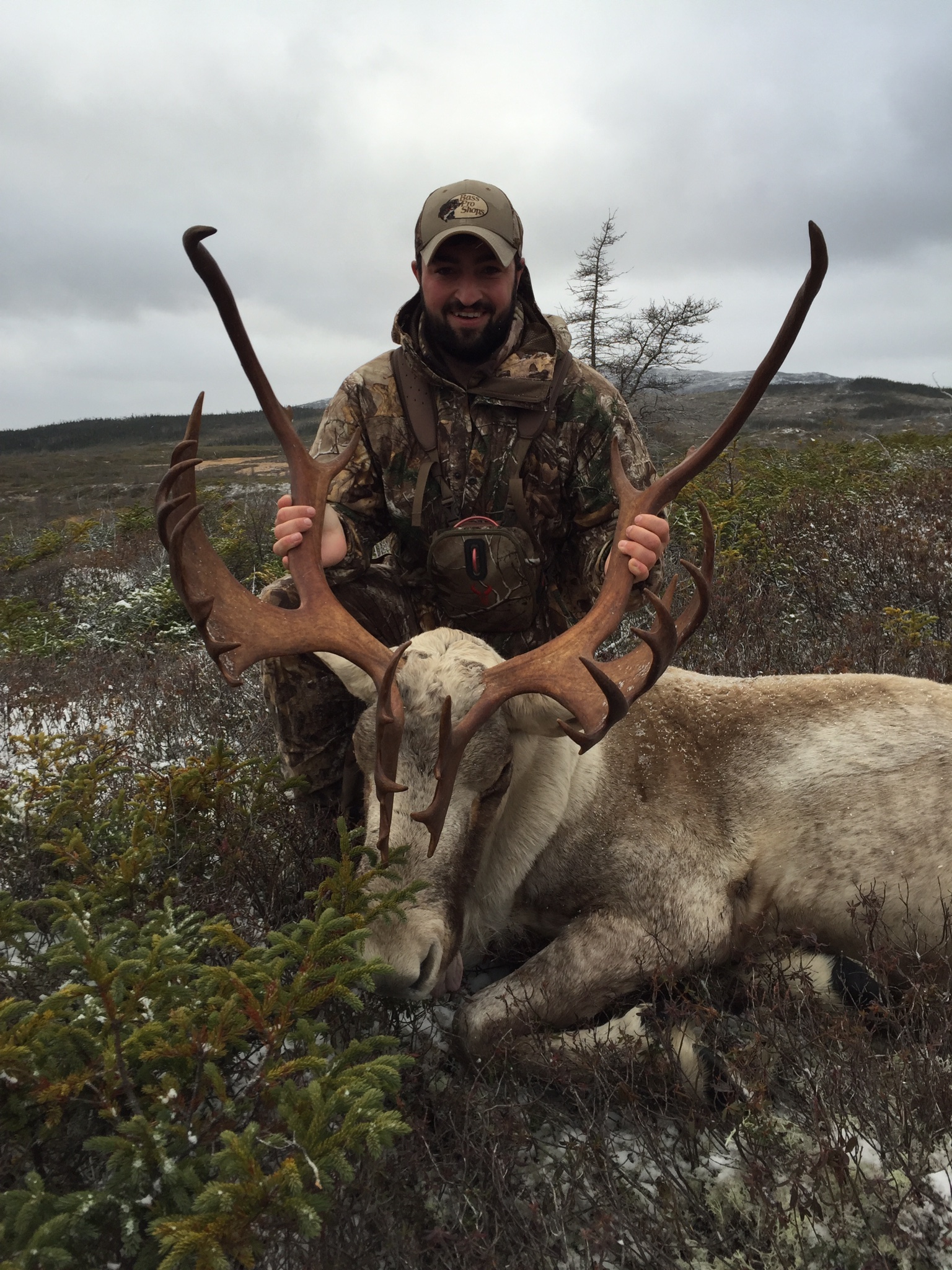 BOOK YOUR DREAM HUNT TODAY GUIDED CARIBOU HUNTS